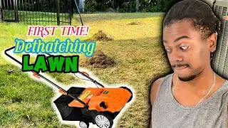 DETHATCHING MY LAWN FOR THE FIRST TIME!