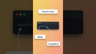 Functions in Python and R 