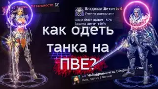 как правильно одеть танка в ПВЕ | lineage 2 essence 2022