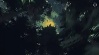 Trivecta - Watch the Stars