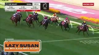Mailbag Bloodstock - Introducing LAZY SUSAN