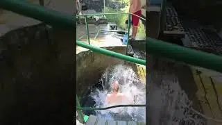 Мужній стрибок в джерело