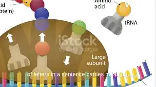 detail structure of DNA in 3d #DNA #dna #dnastructure