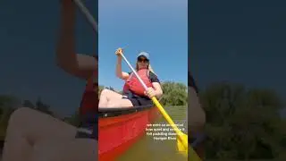 Paddling Toronto’s Humber River #shorts