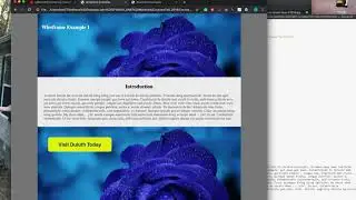 Wireframe Examples