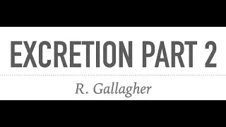 Excretion part 2