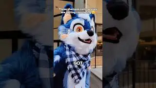 Truly majestic ✨️