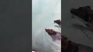 19 июля 2021 г.