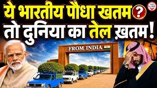 📢ये भारतीय पौधा खत्म, तो पेट्रोल निकलना बंद!| Only Indian Plant Responsible! | Sahara Global Studies