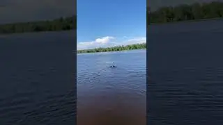 Альфа. тренировка.