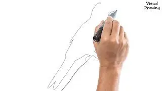 Bulbul Bird Drawing Easy, How To Draw A Bulbul Flying For Beginners Step By Step
