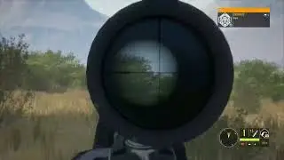 Chasing lions and other animals - The call of the wild
