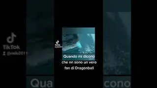 Quando mi dicono che nn sono un vero fan di Dragonball