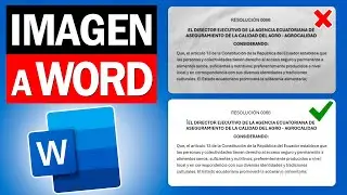 Cómo Convertir una Imagen a Texto Editable en Word | Paso a Paso