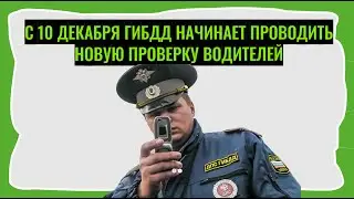 С 10 декабря ГИБДД начинает проводить новую проверку водителей. Что нужно знать, чтобы быть готовым