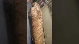 ДревнеГРЕЧЕСКИЕ мумии