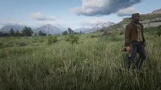 [RDR2] New Red Dead Redemption 2 Playthrough