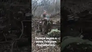 #война