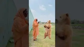 Dangerous Grandmother and Ferocious Bear😮😳 (Dadi Aur Pote Ki Kahani) Episode-4 