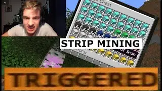 Every Minecraft Sweaty Gamer Belike
