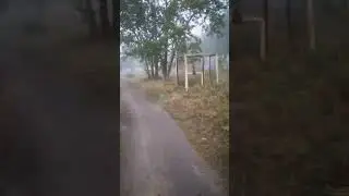 Под ногами тэТуман ае