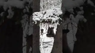 Начало сезона с КС-140.За неделю 3я куница.
