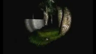 летсплей на игру survivers от NorthAlez