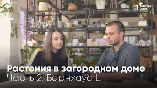 Растения в загородном доме. Часть 2