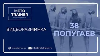 Видеоразминка 