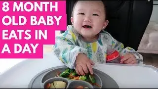 WHAT MY 8 MONTH OLD BABY EATS IN A DAY  | BABY LED WEANING | INFANTINO SQUEEZE STATION