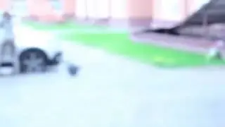 Бабская месть)))