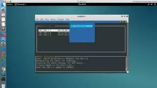 capture traffic log