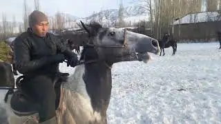 Ноокатта болгон улак Арбын айылында