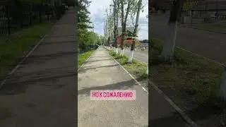 Реальный заработок в сети #реальность #заработок #заработоквсети #заработоконлайн #онлайнбизнес