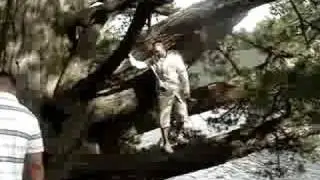 24 Monkeying around