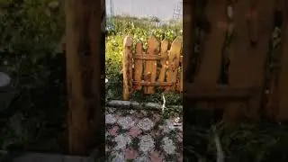 Декоративный забор от мастерской Wooden_stone