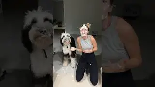 Who ate all the whipped cream? 🤣