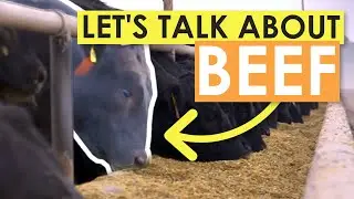 Let's Talk About Beef