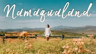 Namaqualand Wildflowers Road Trip Vlog | South Africa Travel