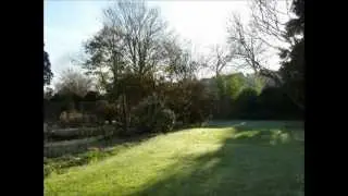 A Wyrd Autumn's Garden