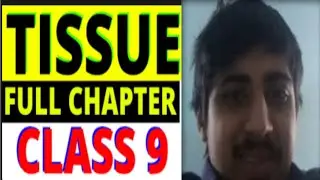 CLASS 9 TISSUE CHAPTER IMPORTANT TOPICS(UNDER 15 SECONDS)!