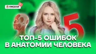 ТОП-5 ошибок в анатомии человека на ОГЭ по биологии | Биология ОГЭ 2022 | Умскул