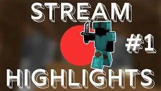 Stream Highlights #1 - Beating hackers & having a good time
