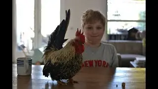Dag lieve Gerrit......