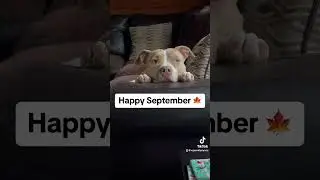 September 1st Message from Coco