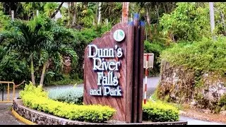 Family Cruise to Dunns River Falls