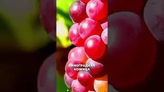 Будьте здоровыми. Подписывайтесь! #деньги #психология #здоровье #отношения #доход #бизнес