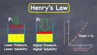 Henry's Law - Partial pressure, gas solubility, and mole fraction