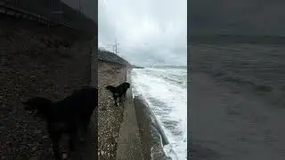 Штормит сегодня
