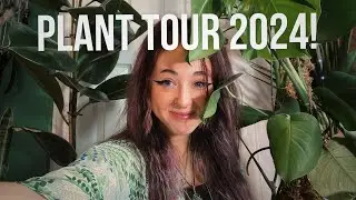 My Plant Collection & Plant Care Tips!🌱